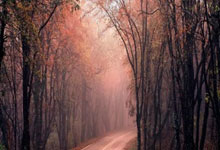 678体育app:Shams:乔治近期为了出场接受了注射治疗.