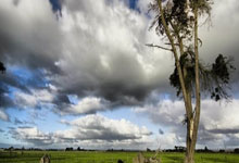 678体育:曝鄭智將任執行主教練帶廣州隊征戰中超與足協杯.