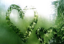 2023女足世界杯小組賽南非3-2意大利 卡魯索雙響加特拉娜破門!南非隊史首次晉級淘汰賽!.